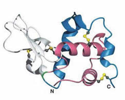 BiologyTHz.jpg